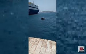 Ένα «Smart» βούτηξε στη θάλασσα (vd)