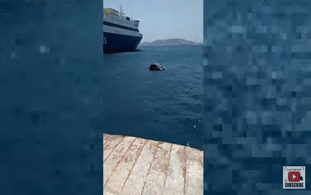 Ένα «Smart» βούτηξε στη θάλασσα (vd)