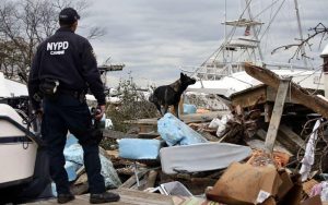 Μικρή ηλεκτρονική συσκευή εντοπίζει ανθρώπους με την οσμή!