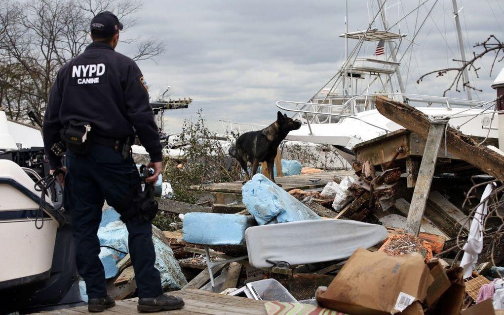 Μικρή ηλεκτρονική συσκευή εντοπίζει ανθρώπους με την οσμή!