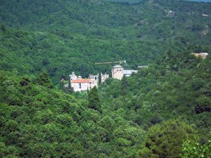 Σε εξέλιξη βρίσκεται πυρκαγιά στο Άγιος Όρος