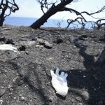 Πέρυσι Πορτογαλία, φέτος Ελλάδα