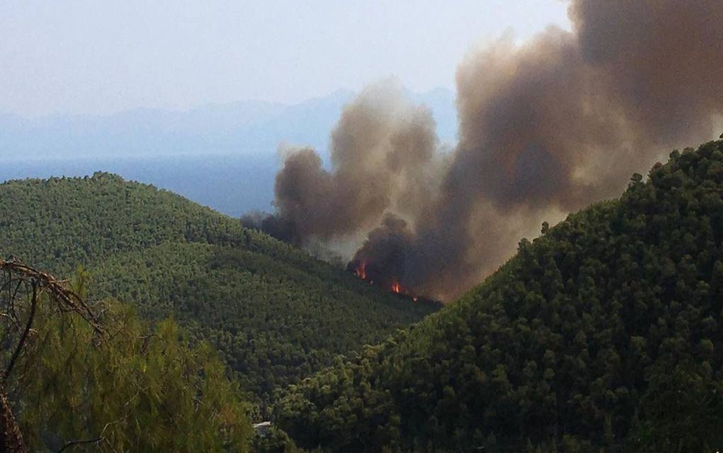 Υπό μερικό έλεγχο η φωτιά που καίει στη Σκόπελο