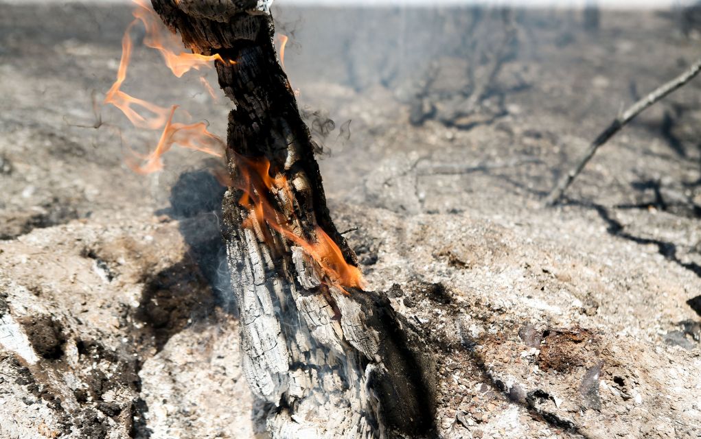 Υψηλός κίνδυνος πυρκαγιάς την Τρίτη στη Χαλκιδική