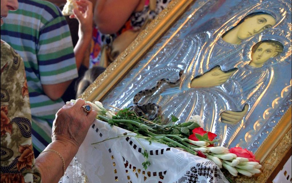 Κεφαλονιά: «Θαυματουργά» φιδάκια σε εκκλησίες