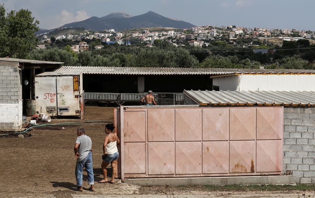 Αλλάζει το μοντέλο αδειοδότησης των κτηνοτροφικών εγκαταστάσεων