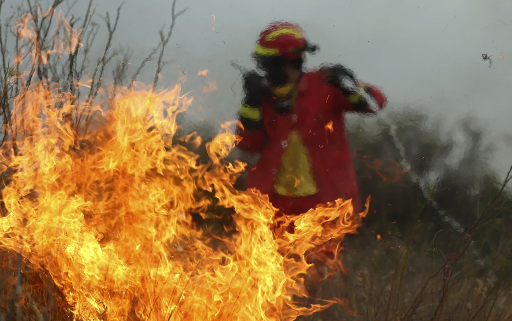 Συναγερμός στην Εύβοια: Δασική πυρκαγιά στην Ιστιαία