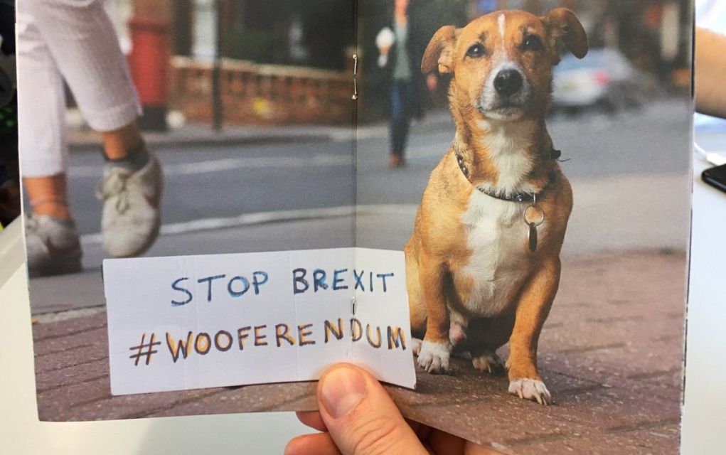 Χιλιάδες σκύλοι στη διαδήλωση κατά του Brexit στο Λονδίνο! (vd)