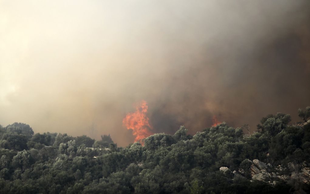 Πυρκαγιά σε δασική έκταση στην περιοχή Μαζαράκι Πηνείας