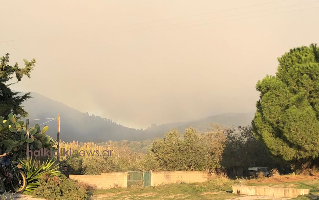 Πυρκαγιά καίει ανεξέλεγκτη στη Σιθωνία Χαλκιδικής