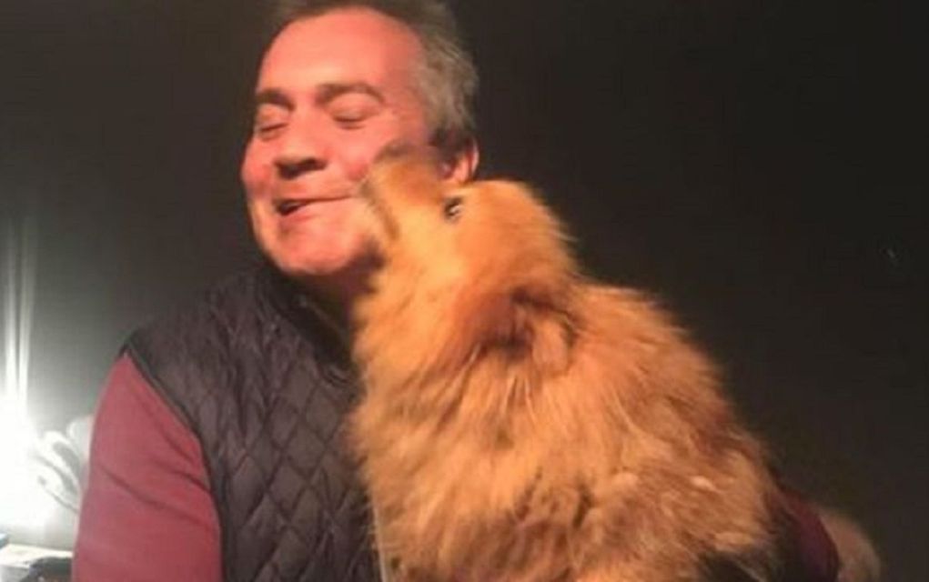 Σκυλίτσα που είχε κλαπεί πριν από ένα χρόνο, βρέθηκε 483 χλμ. μακριά!