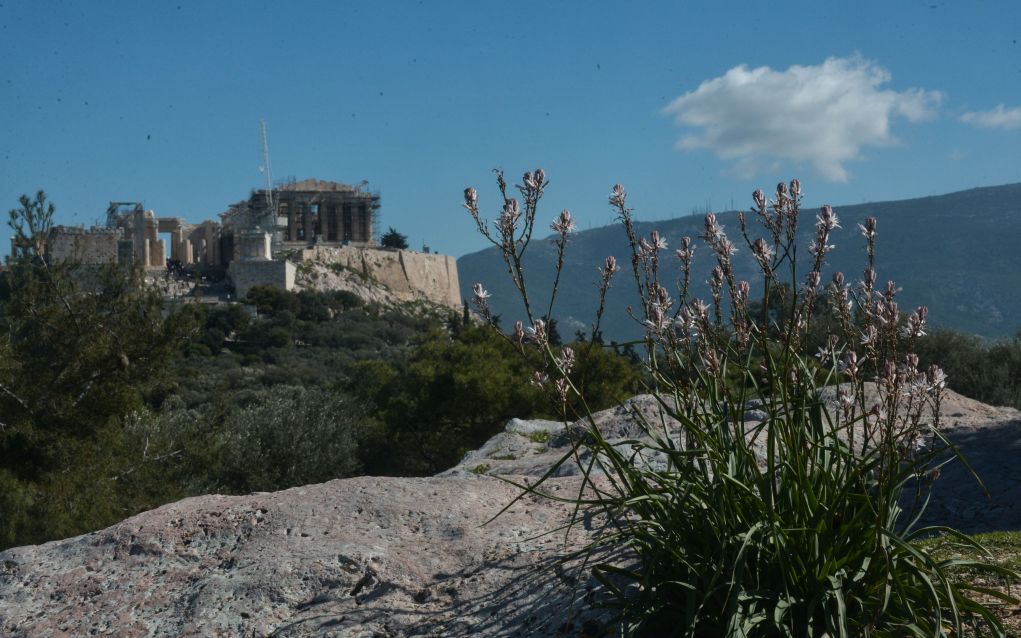 Πνύκα: Επίθεση με βαριοπούλες στον αρχαιοφύλακα