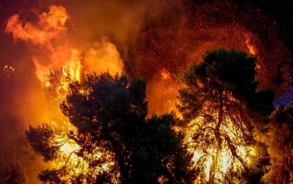 Σκανδιναβία: Φόβος για νέα χρονιά φοβερών πυρκαγιών