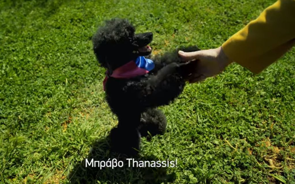 ΑΝΕΛ: Προεκλογικό spot με το… κανίς Thanasis (vd)