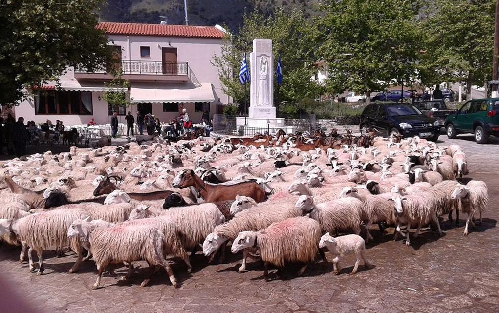 ΥΠΑΑΤ – Γιώργος Στύλιος: Η Κυβέρνηση έχει αποδείξει πως στηρίζει τους παραγωγούς με πράξεις