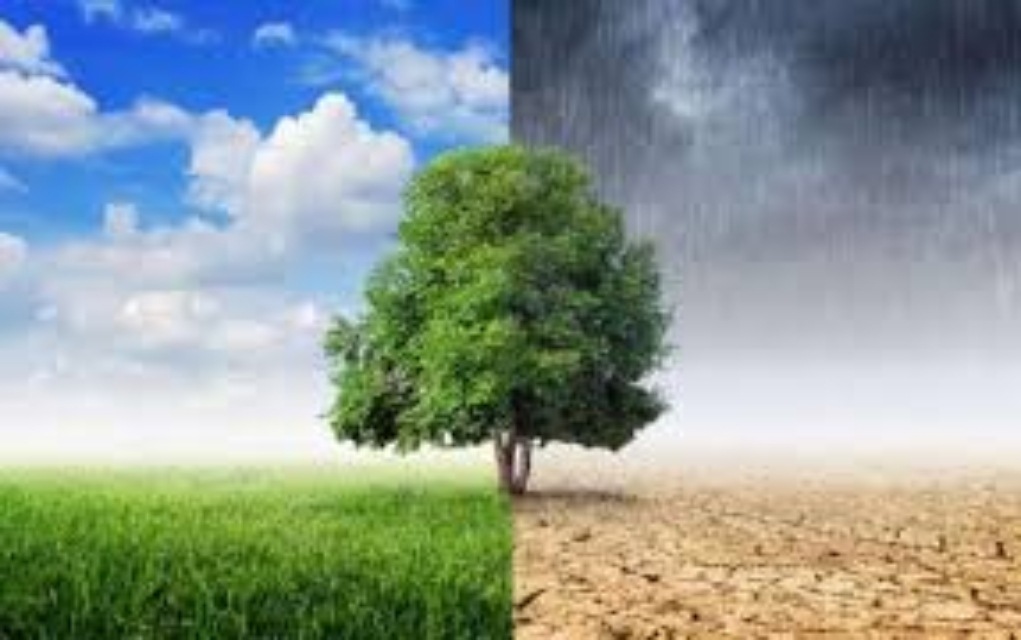 Επικεφαλής WWF: «Εάν θέλουμε βιώσιμο πλανήτη πρέπει να αλλάξουμε άμεσα πορεία»