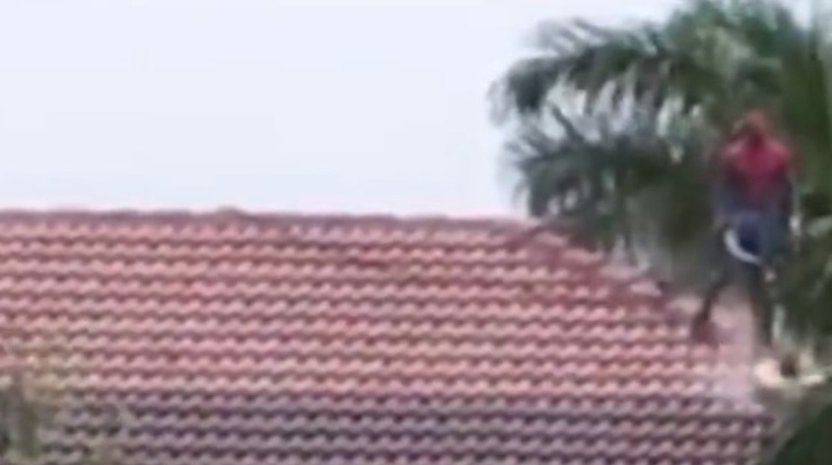 Όταν ο… Spiderman καθαρίζει την στέγη! (vid)