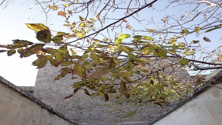 Εφαρμογή για κινητό τηλέφωνο ενημερώνει για τις μετεωρολογικές συνθήκες