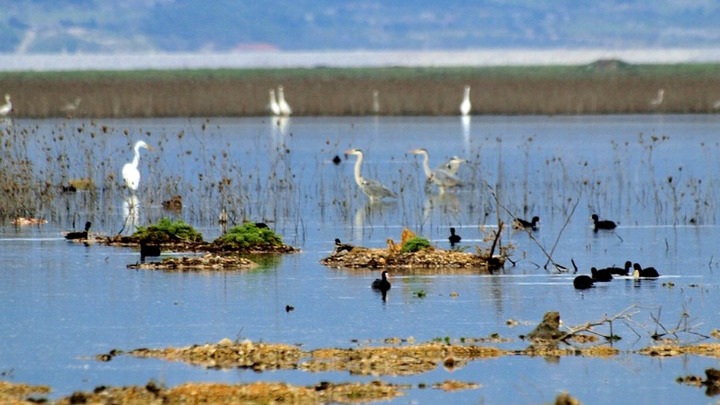 Δρομολογούνται παρεμβάσεις στη λίμνη Δοϊράνη για τη βελτίωση της εικόνας της περιοχής