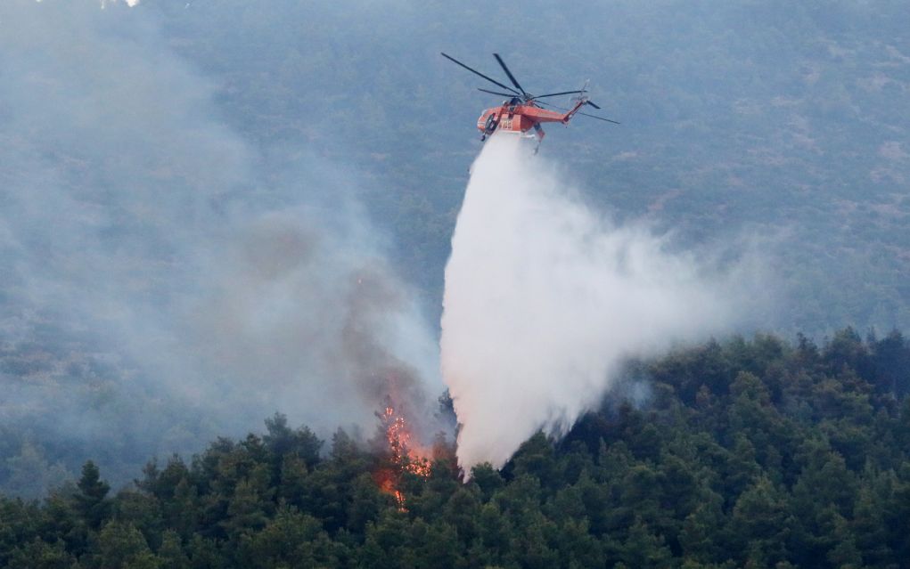 Φωτιά σε δασική έκταση στη Γαρδενίτσα Λακωνίας