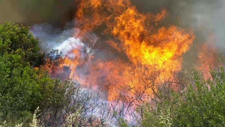 Φωτιά στην περιοχή Λούβρο της Αρχαίας Ολυμπίας