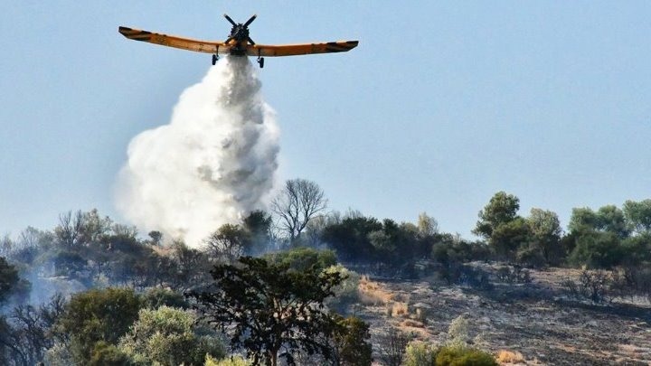 Θάσος: Φωτιά σε δασική έκταση στην περιοχή των Κοινύρων