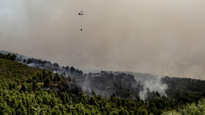 Σε εξέλιξη η φωτιά στην κεντρική Εύβοια