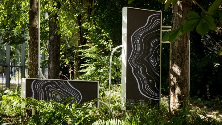 «Symbiosia»: Η κλιματική αλλαγή, τα δέντρα του Παρισιού κι εμείς