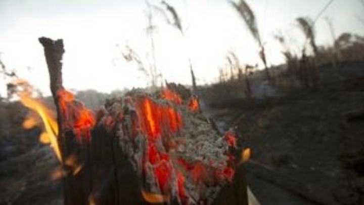 Πυρκαγιές στον Αμαζόνιο: το μεγάλο δράμα και ο αληθινός φόβος