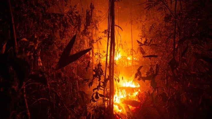 Οι βροχές δεν θα σβήσουν τις φωτιές στον Αμαζόνιο