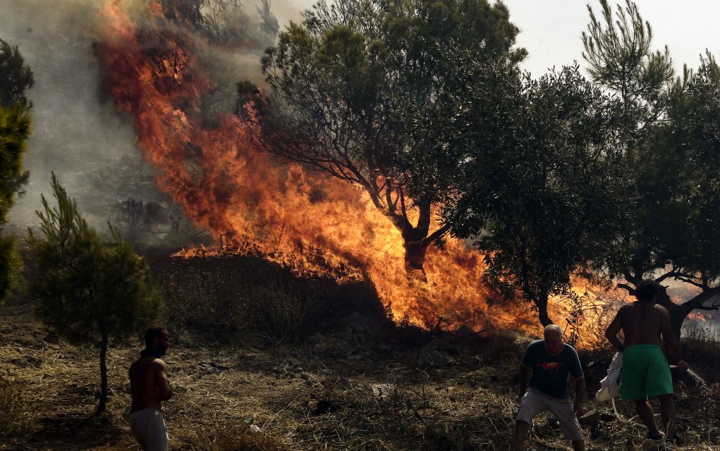 Υψηλός ο κίνδυνος πυρκαγιάς σήμερα στη Χαλκιδική