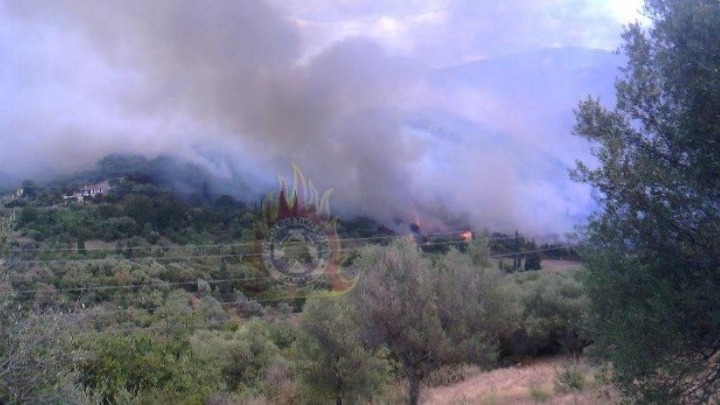 Πυρκαγιά σε δασική έκταση στη Δωρίδα Φωκίδας