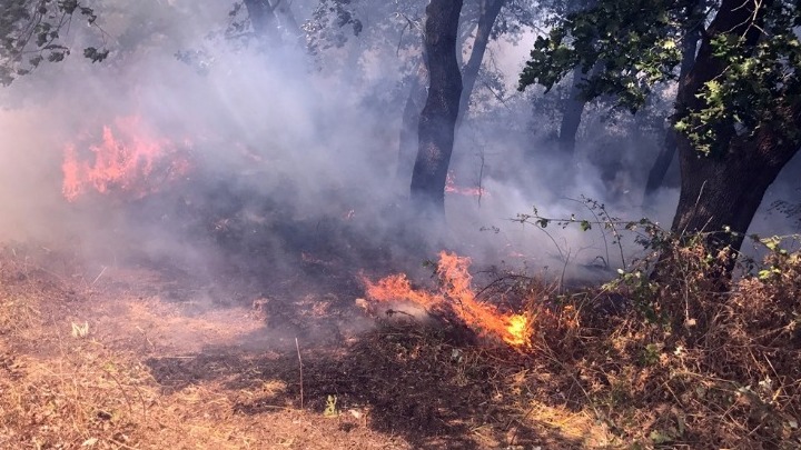 Σε εξέλιξη πυρκαγιά στην περιοχή του Σέμπρωνα Χανίων