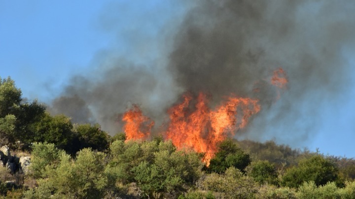 Εκκενώνονται σπίτια λόγω της πυρκαγιάς στη Σαρωνίδα