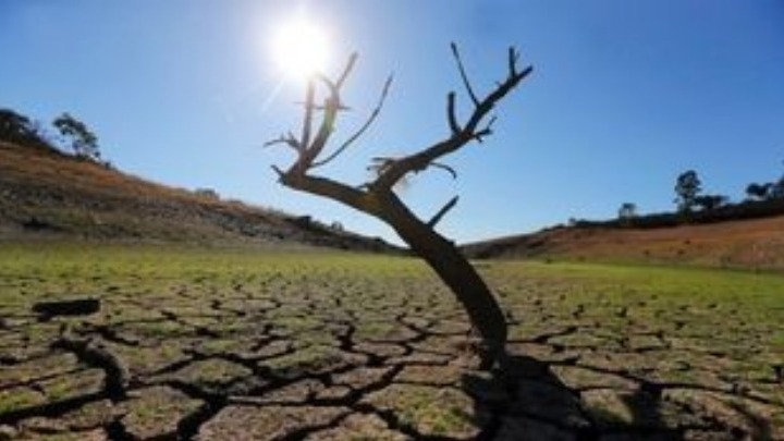 Δανία: 2,4 εκατομμύρια ευρώ συγκεντρώθηκαν στον πρώτο τηλεμαραθώνιο για την αντιμετώπιση της κλιματικής αλλαγής
