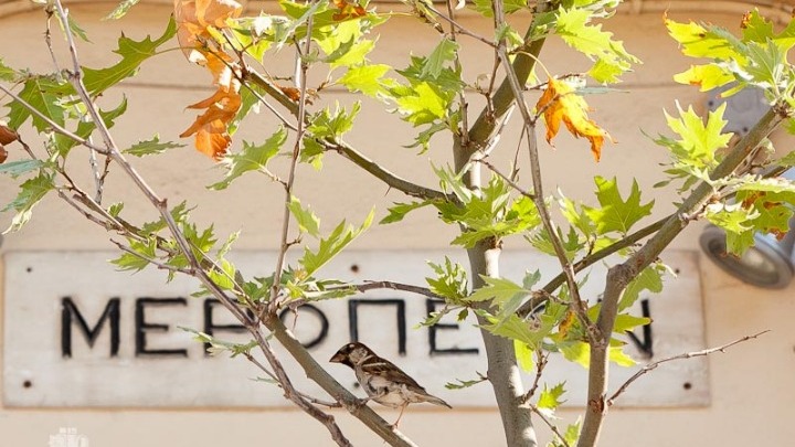 Το εκπαιδευτικό παιχνίδι ζητάει χώρο από την παραδοσιακή εκπαίδευση