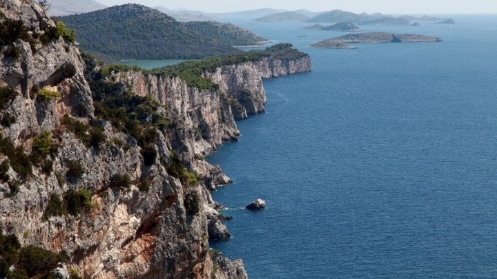 Πώς θα επιστρέψουν τα ψάρια στη Μεσόγειο;
