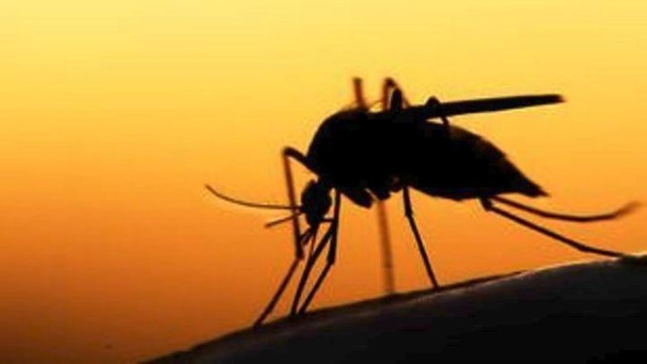 Στη Λάρισα το πρώτο κρούσμα του ιού του Δυτικού Νείλου