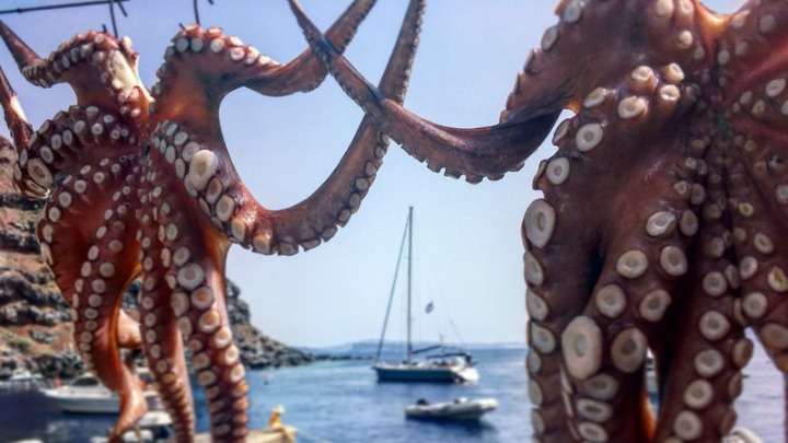 Στο Λονδίνο υποστηρικτές των Κυκλάδων και της θαλάσσιας προστασίας