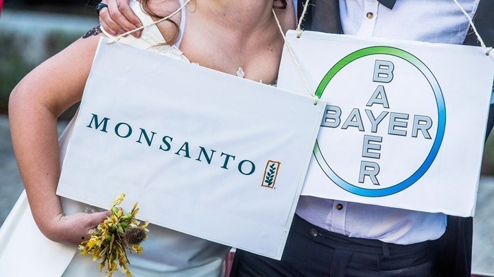 Η Monsanto παραδέχθηκε ότι χρησιμοποίησε ένα παράνομο ζιζανιοκτόνο στη Χαβάη