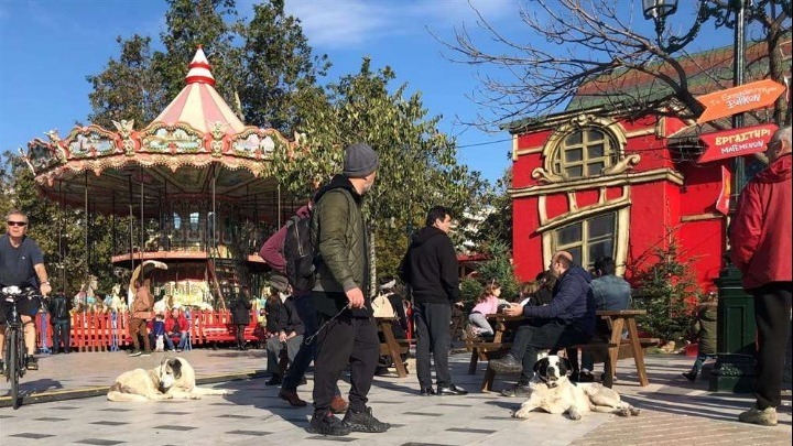 Ενημέρωση από τον Δήμο Θεσσαλονίκης για τα αδέσποτα σκυλιά στο κέντρο της πόλης