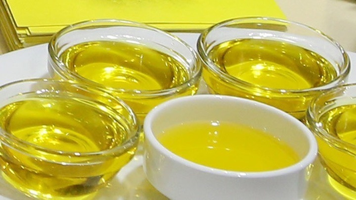 ΨΝΘ: Γιορτή Ελιάς και Λαδιού