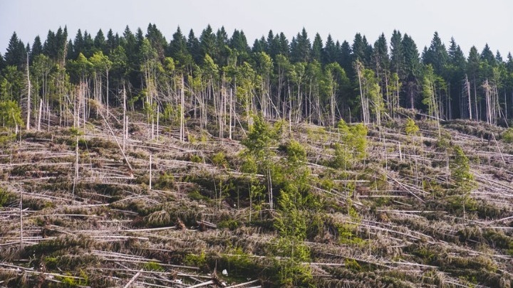 Στη δημοσιότητα η φετινή έκθεση του WWF για την περιβαλλοντική νομοθεσία στην Ελλάδα
