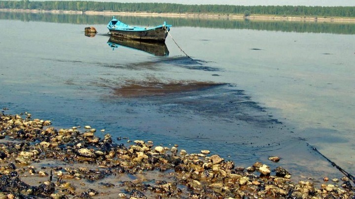 Απειλή για τη βιοποικιλότητα στον Δούναβη οι υδροηλεκτρικοί σταθμοί, σύμφωνα με έρευνα