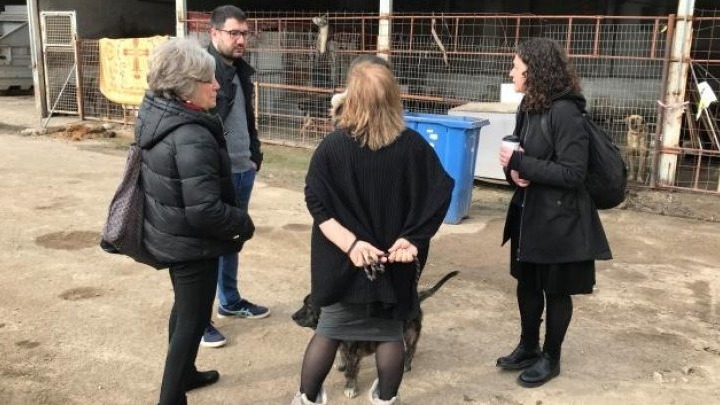 Η «Ανοιχτή Πόλη» καταγγέλλει τις συνθήκες στο Κέντρο φιλοξενίας αδέσποτων στο Βοτανικό