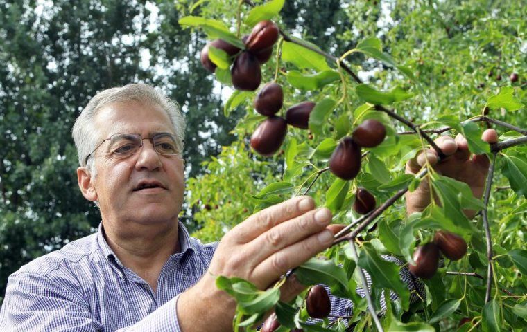 Επίθεση πρώην βουλευτή της ΝΔ σε Ιβάν Σαββίδη (pic)