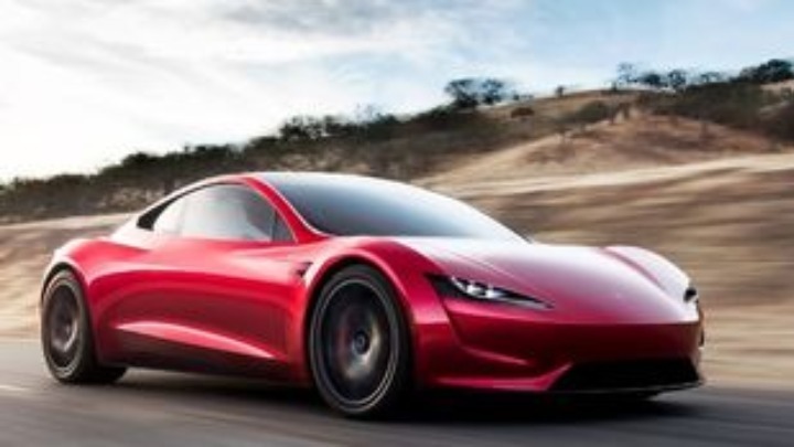 Γερμανία: Μυρμήγια εναντίον Tesla: ο κολοσσός “μετακομίζει” τις μυρμηγκοφωλιές από το οικόπεδο όπου θα χτίσει το νέο εργοστάσιό του