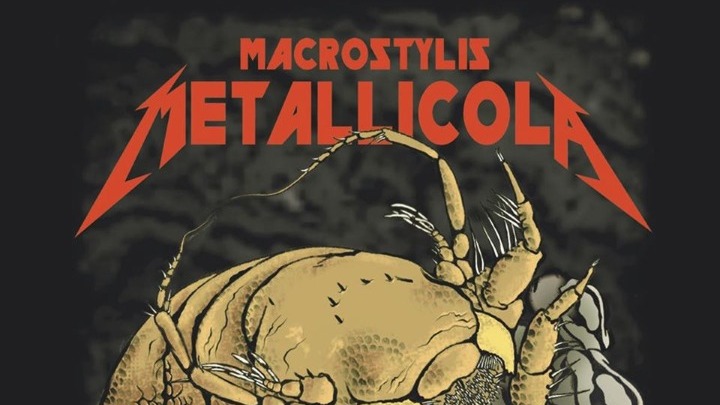 Το νέο οστρακόδερμο που ονομάζεται… Metallica!