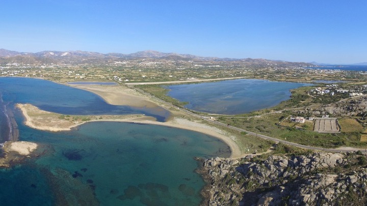 Προστασία ακτών από τη διάβρωση με τη λύση που προτείνει η φύση