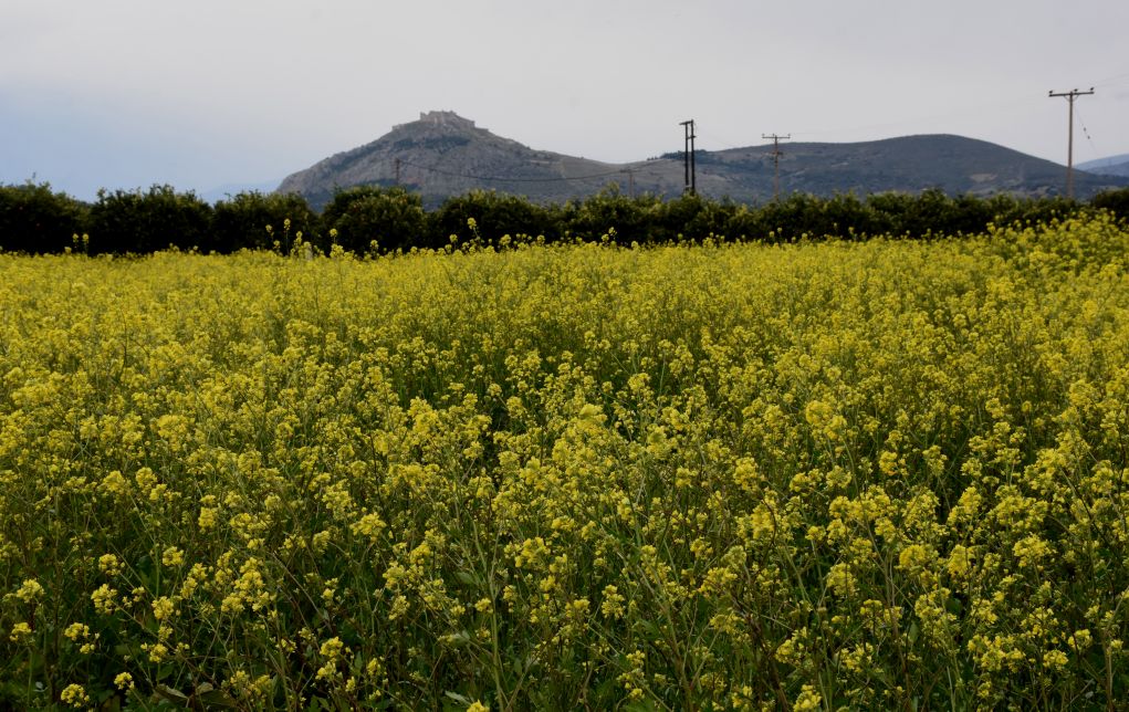 Αίθριος καιρός και άνοδος θερμοκρασίας
